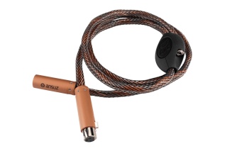 Ansuz Digitalz D3 XLR