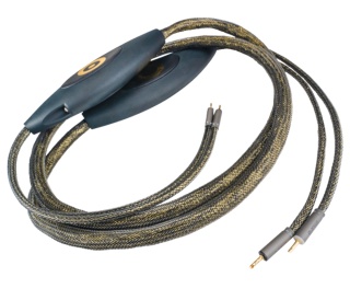 Ansuz Speakz D-TC3 Gold Signature