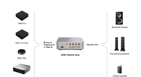 WiiM Vibelink Amp
