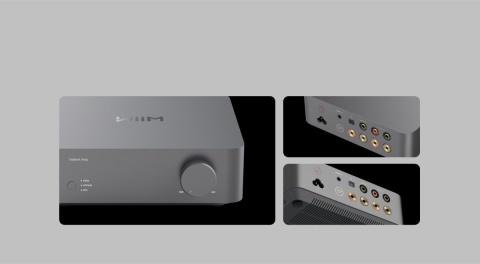 WiiM Vibelink Amp