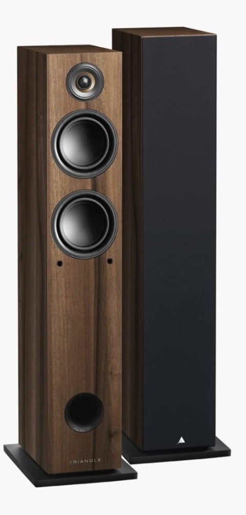 Aktywne kolumny podłogowe Triangle Elara LN05A