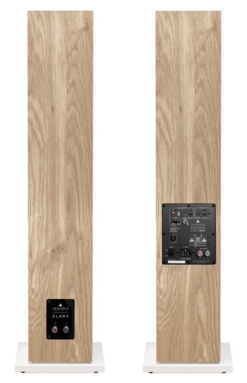 Aktywne kolumny podłogowe Triangle Elara LN05A