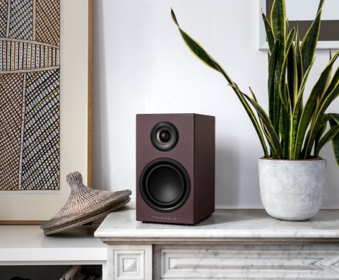 Aktywne monitory podstawkowe Triangle Elara LN01A