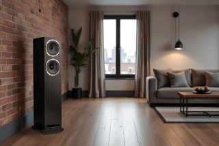 Fyne Audio 501S