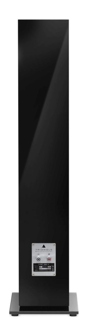 Kolumny podłogowe Triangle Espirit Gaia EZ