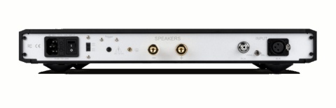 Końcówka mocy mono NuPrime Evolution One