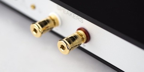 Końcówka mocy mono NuPrime Evolution One