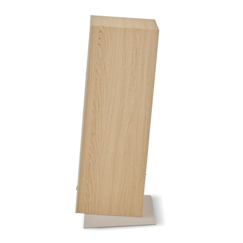 Focal Theva N°3 i Naim CI-UNITI 102