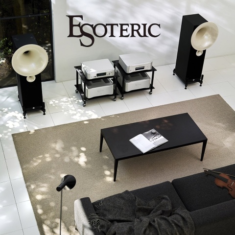 Wzmacniacz / końcówka mocy Esoteric S-05 Silver