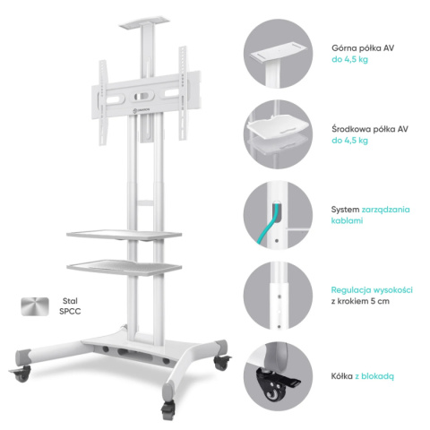 Onkron mobilny stojak TV dla 40"-70" maks 46 kg, biały TS1552