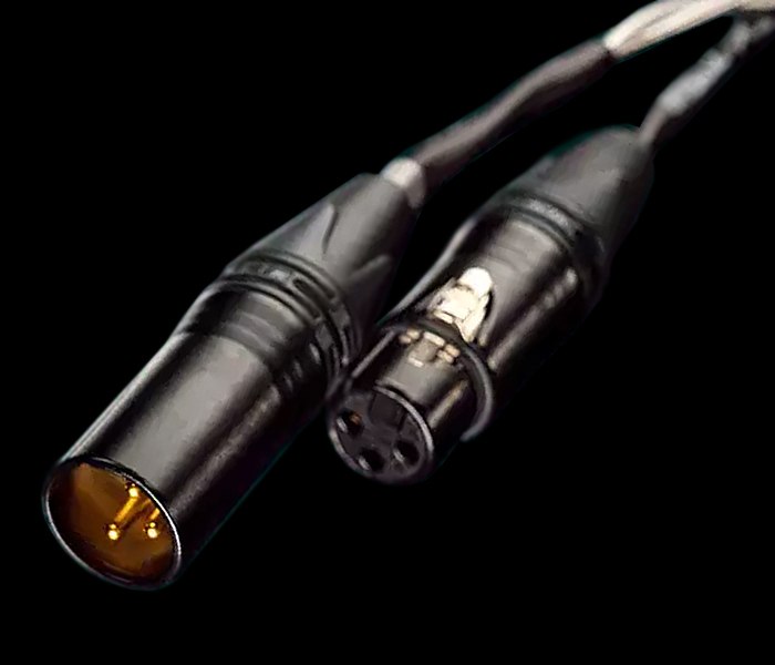 Ansuz XLR Digitalz X2